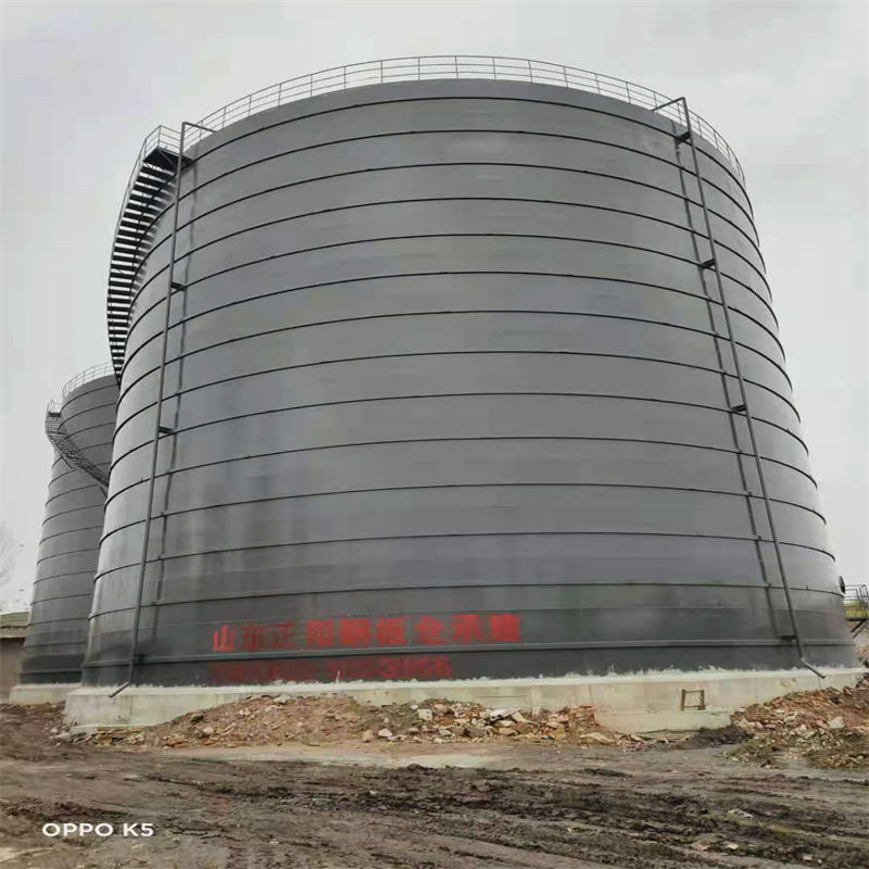 岳阳楼3万吨大型钢板库