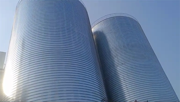 岳阳楼2座混凝土高架卷板仓